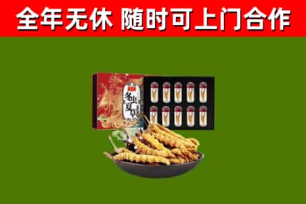 五莲回收冬虫夏草价格